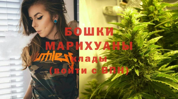 гидра Аркадак
