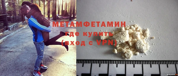 гидра Аркадак