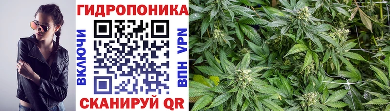 купить цена blacksprut как войти Конопля семена Лянтор
